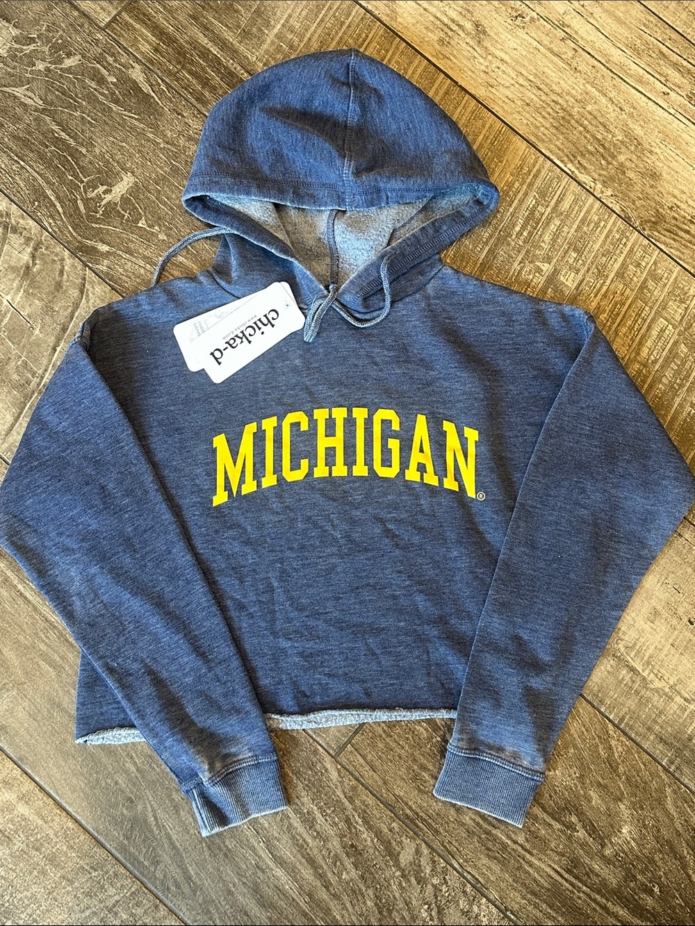Michigan Cropped Hoodie - Heather Blue with Yellow NWT Small